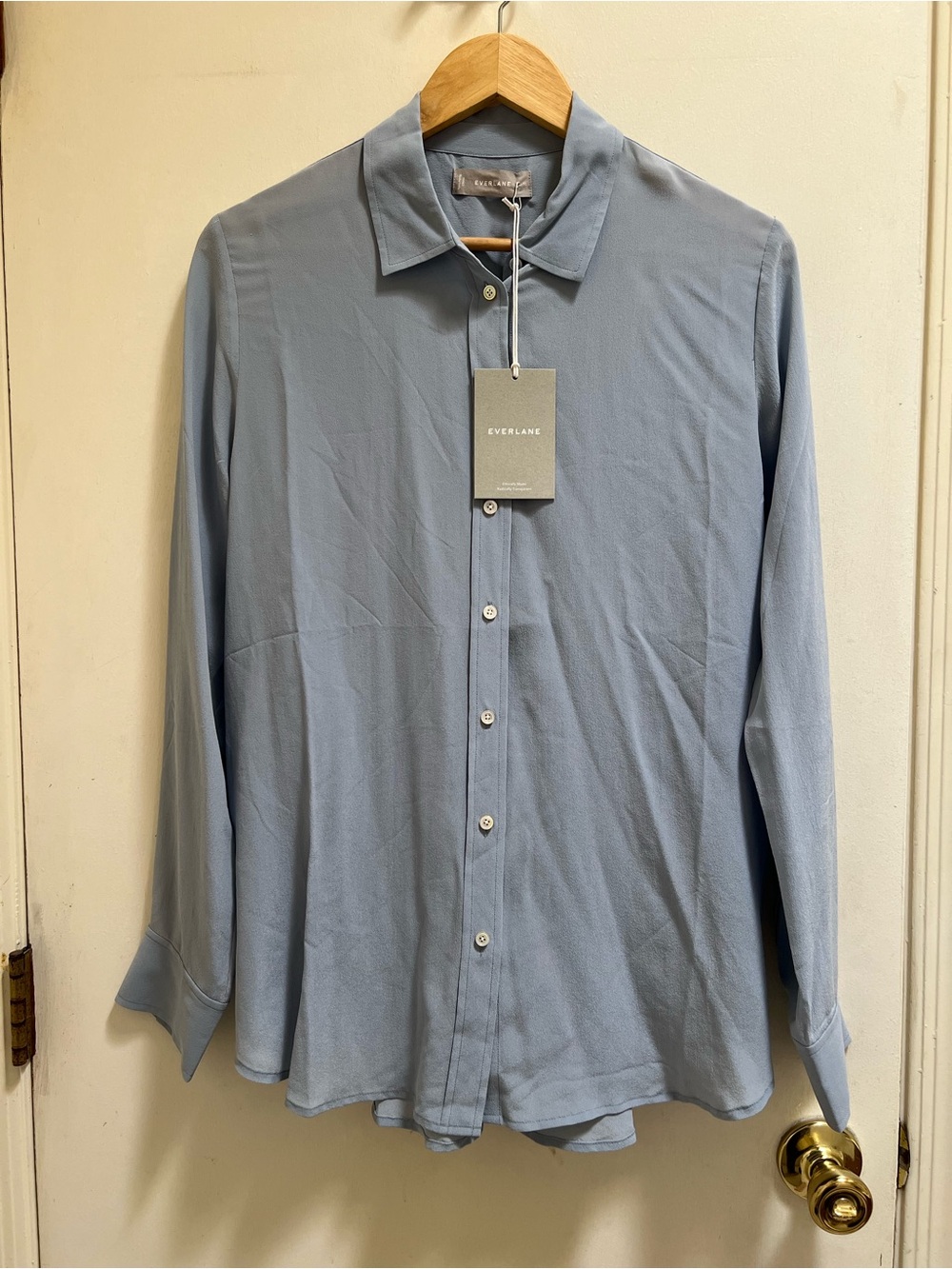 Everlane Women’s Silk Light Blue Button-Up Shirt
